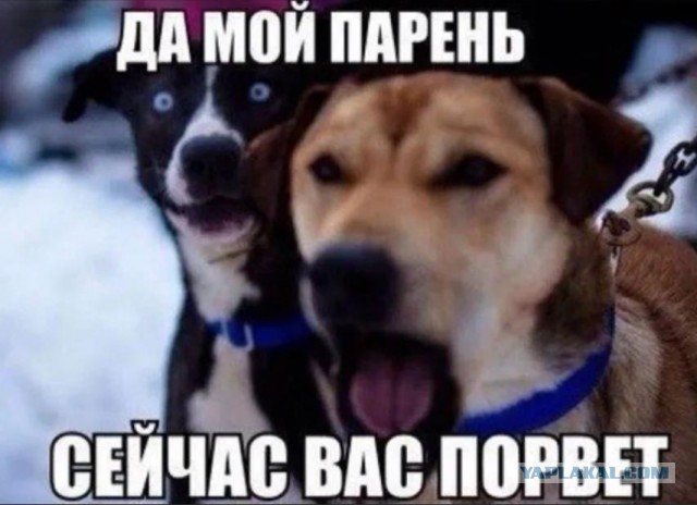 Хозяйка щебенки