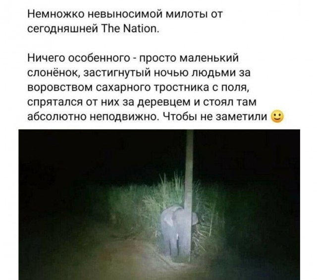 Всяческие картинки 08.11.2021