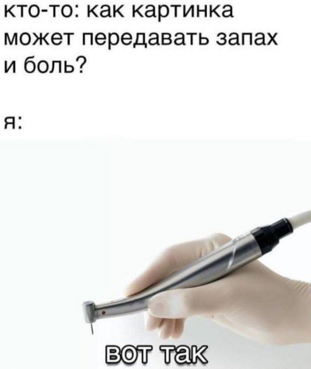 Всяческие картинки 24.11.2021