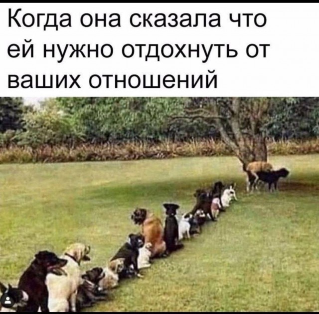 Картинки всякие и аморальные - 16
