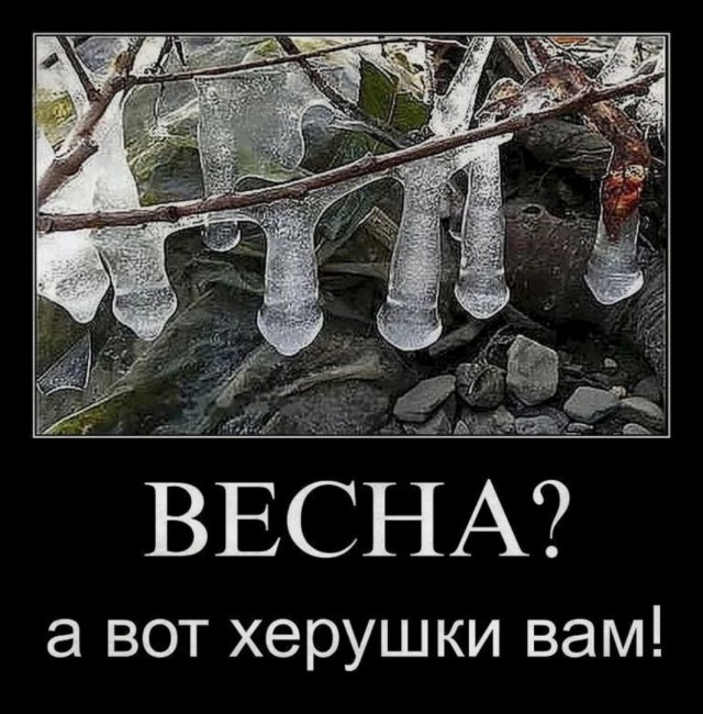 Так себе картинки 06.04.22