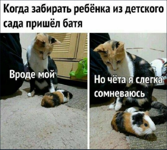 Картинки с надписями и всякие жизненные фразы