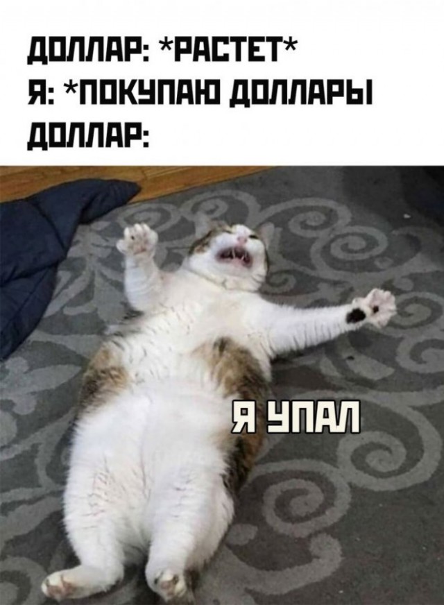 Картинки и мемы для настроения - 27