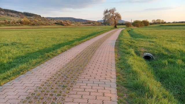 Полевая дорога. Северная Бавария
