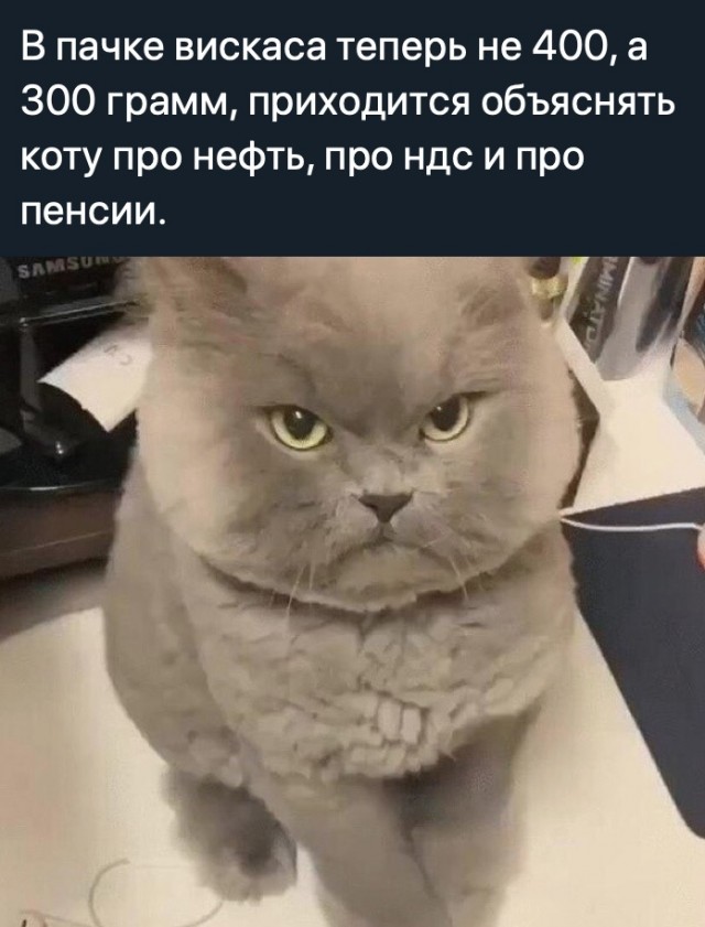 Ну наконец-то поймали. Вот он! Главный растратчик в семье