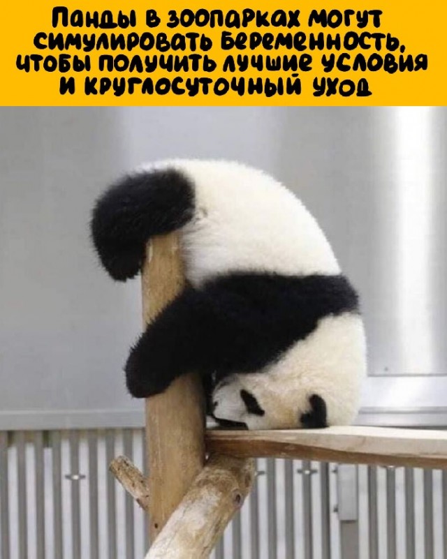 Картинки с надписями и всякие жизненные фразы