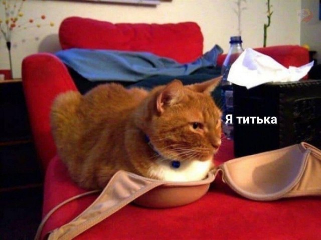 Эротика