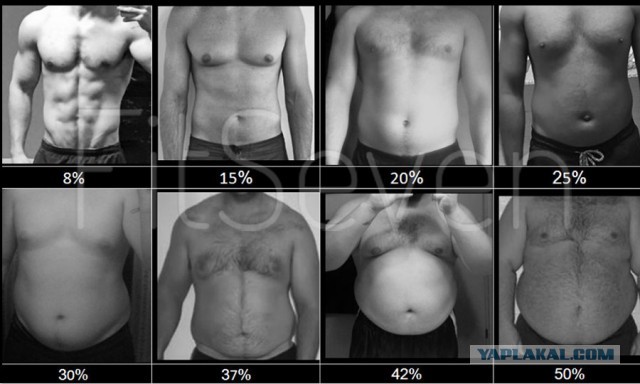 20 лет, 35 лет, 50 лет