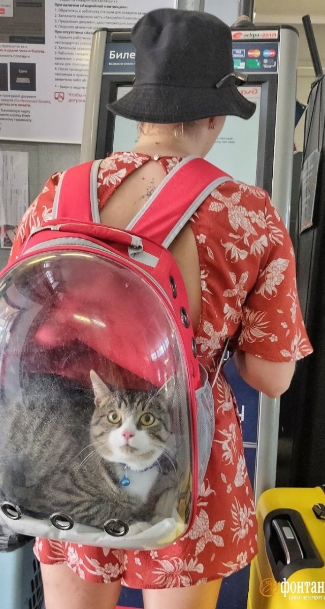 Прибавление в семье