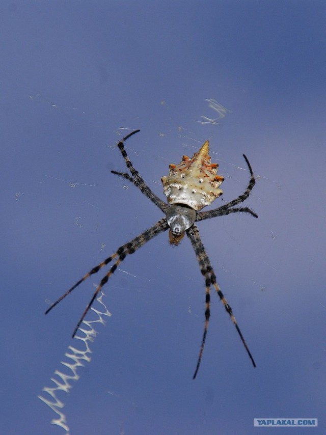 Прогулка по Крыму