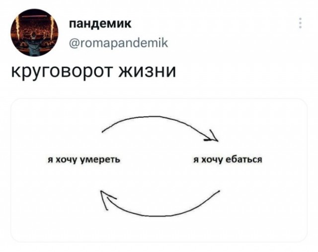Немного картинок для настроения - 119