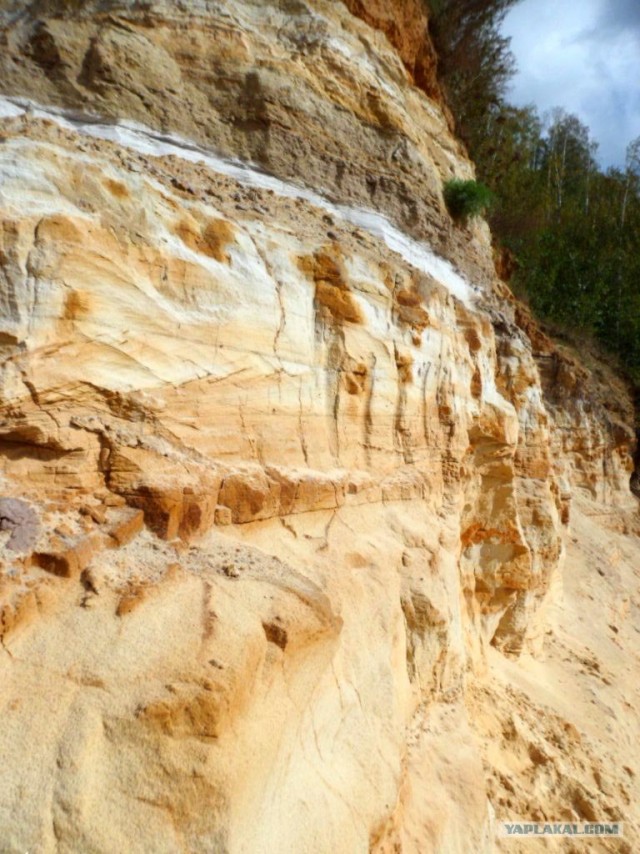 Генералы песчаного карьера