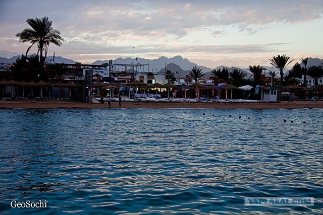 Синайские приключения. Шарм-эш-Шейх и окресности