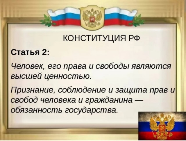 Бездомные собаки насмерть загрызли ребёнка в Оренбурге.