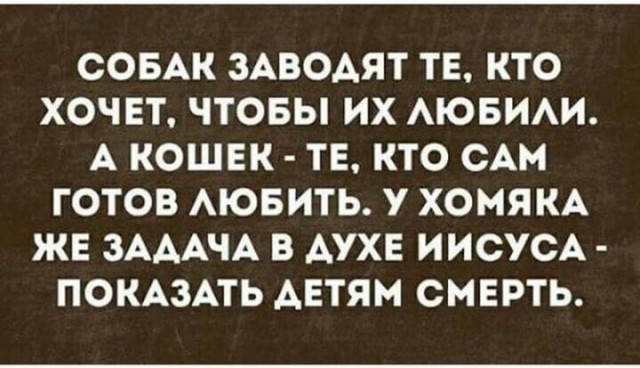 У детей горе