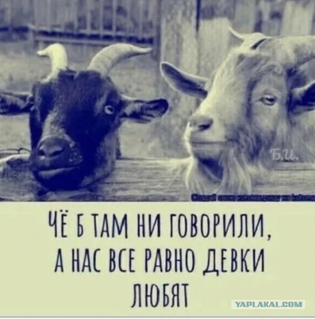 Что может дать 40-50 летняя старушка парню ровеснику