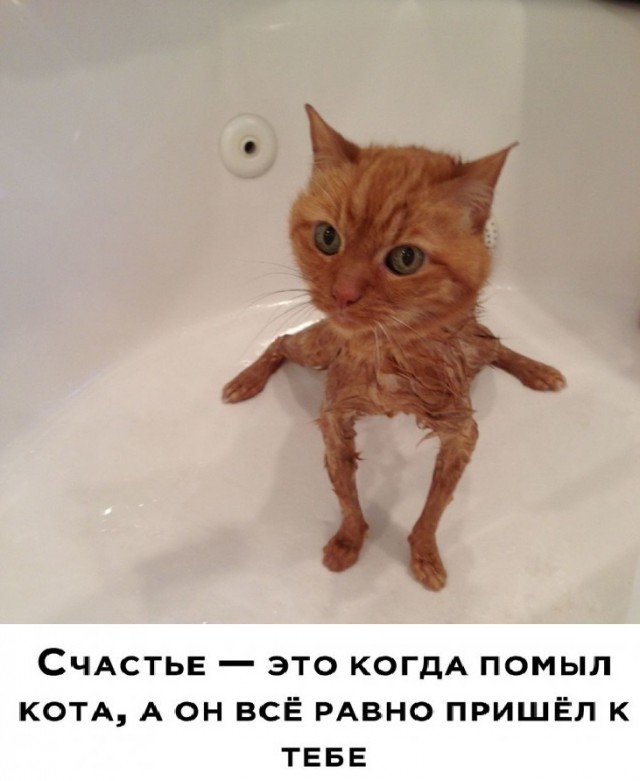 Нуштош 20.09.2023