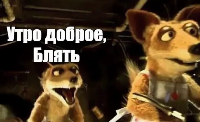 Суровый Челябинский лис