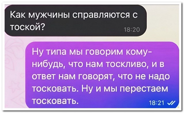 Забавные комментарии из социальных сетей (25.12.23)