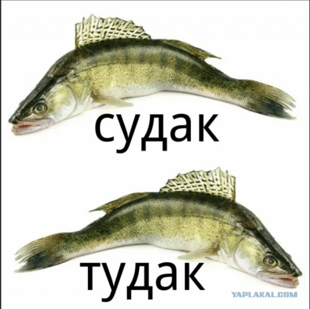 Если надоели всякие котики и вообще картинки, коллеги