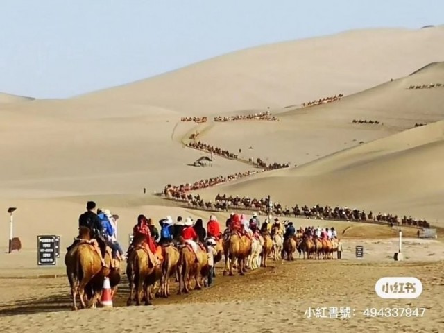 «Верблюжьи светофоры» используют в китайской пустыне Кумтаг. Это нужно, чтобы избежать пробок, связанных с популярностью катаний на «кораблях пустыни»