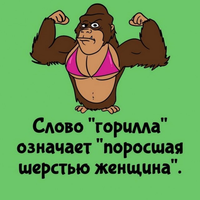 Веселые картинки