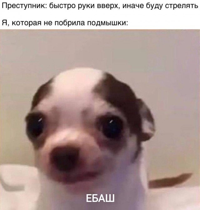Сборник бабаянов или неожиданная помойка