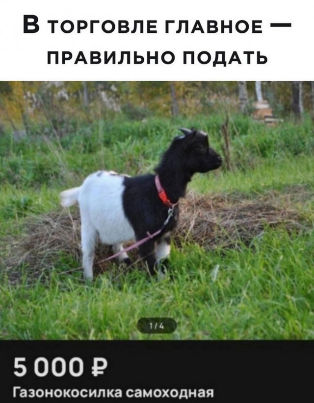 Картинки разные с надписями и без