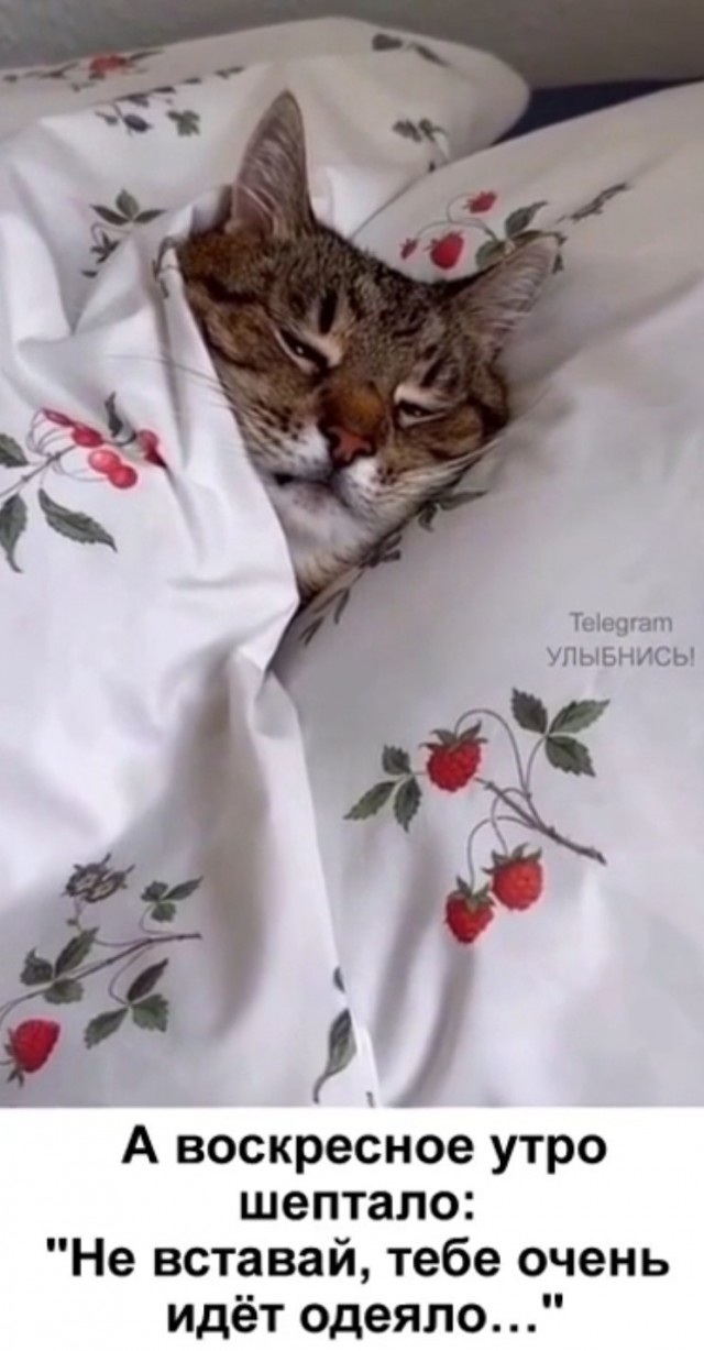 Осенние бояны
