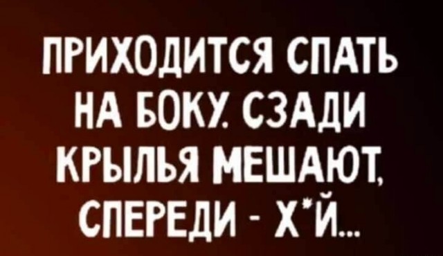 Так себе картинки 01.10.24