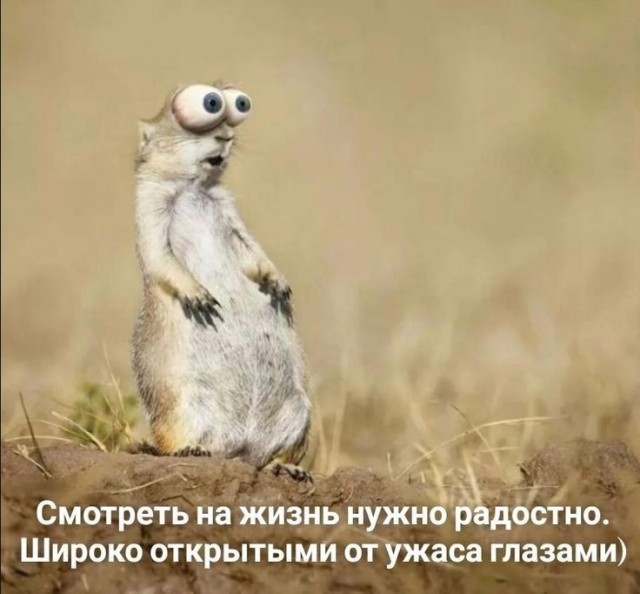 Так себе картинки 29.10.24