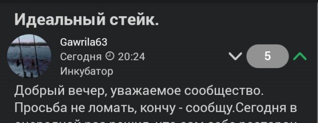 Идеальный стейк