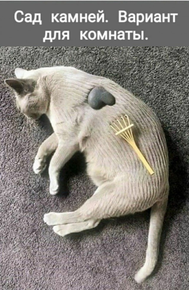 Так себе картинки 02.02.25