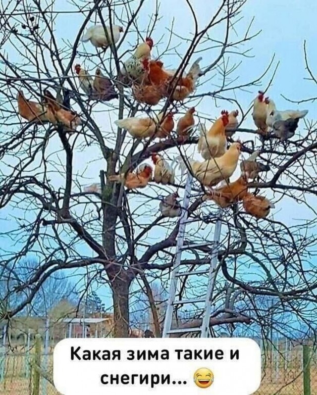 Молодцы детки!