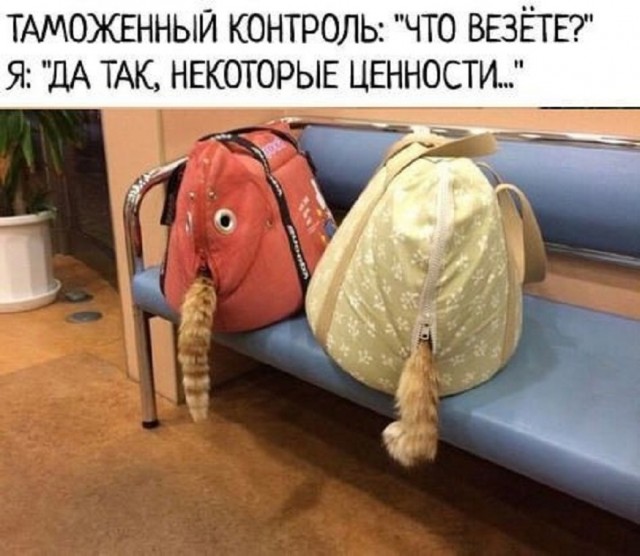 Так себе картинки 21.02.25