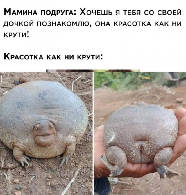 Веселые картинки в пятницу (21.03)