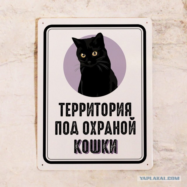Вор вломился в дом, на двери которого висела табличка: "Осторожно, злая кошка!"