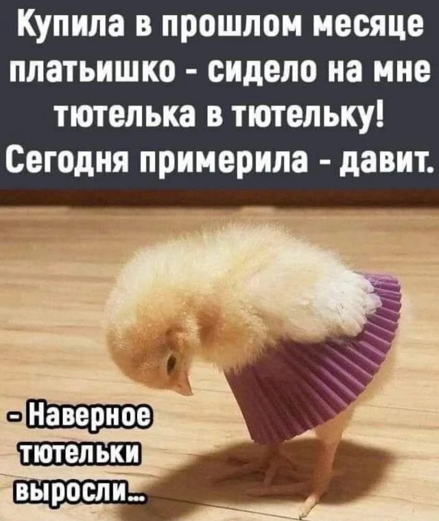 Завалялось тут случайно немного забавных картинок