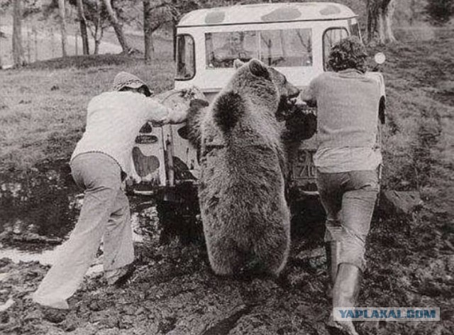 Интересные фотографии 1990 -х 27.04.25