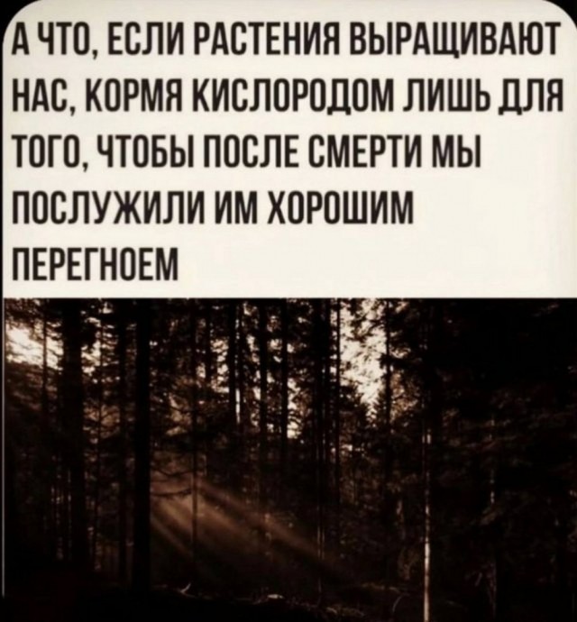 Маленькая пятница 02.07.25