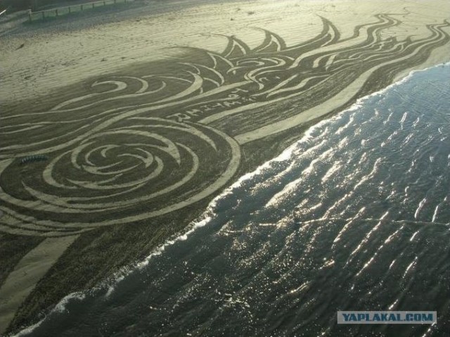 Peter Donnelly искусство пляжного песка