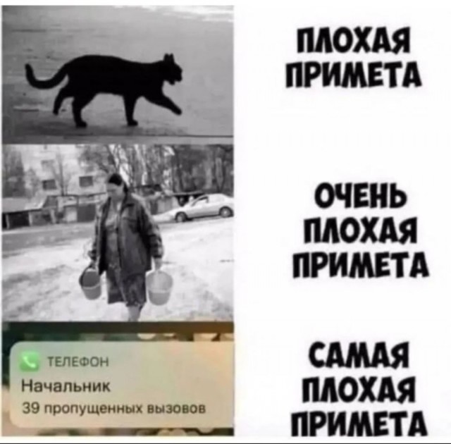 Так себе картинки 24.08.25