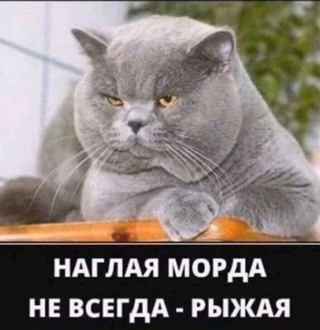 Субботние картинки