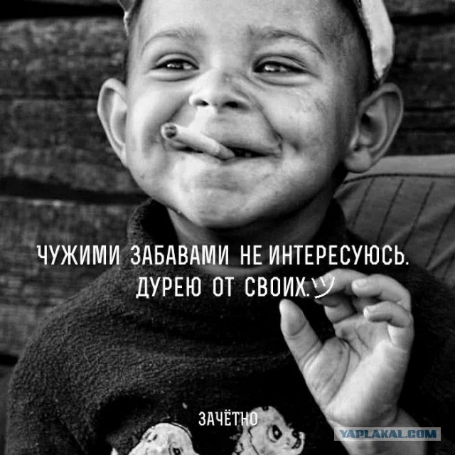 Прикольные и просто красивые картинки 12.12.2025