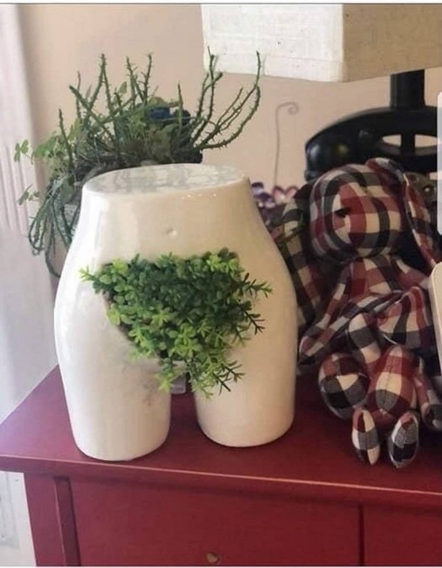 Картиночки, баянчики 20 апреля