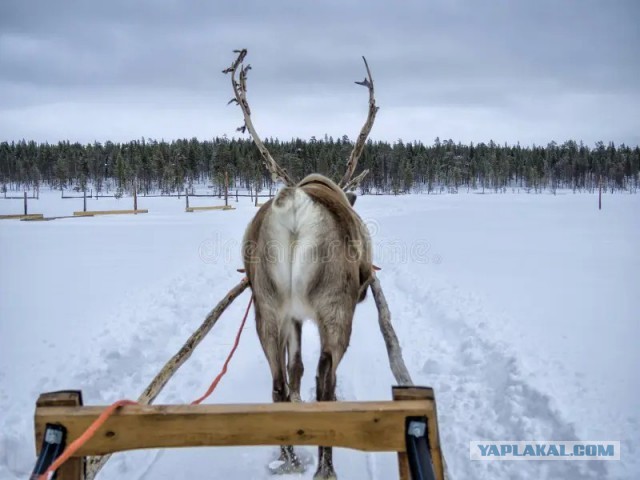 А как вы добираетесь на работу?