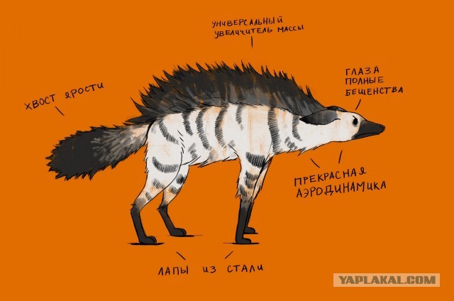 Знакомьтесь, это детёныш земляного волка — один из самых безобидных хищников в Африке