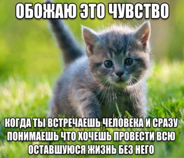 Первая суббота лета