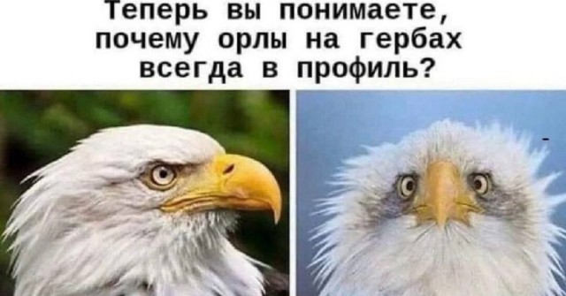 Орёль