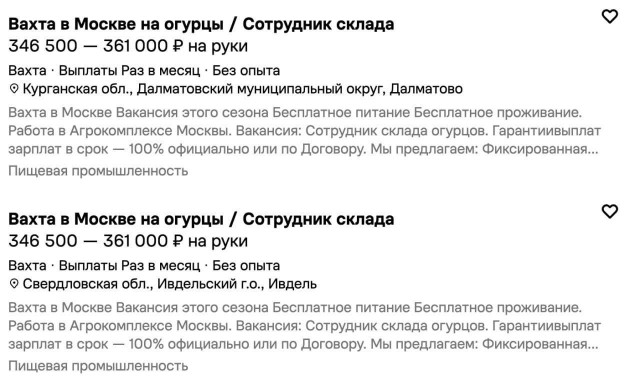 Едем вахтой на огурцы?